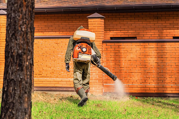 Trusted Ant Control service in Kernersville, NC - Nex Pest Control
